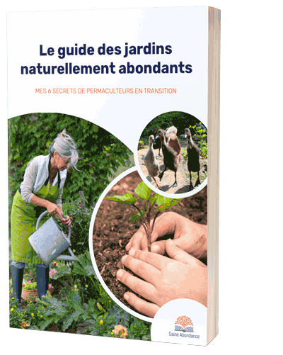 Guide de jardinage: les étapes clés et les astuces de pro pour